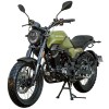 Мотоцикл Spark SP250SC-2 - изображение 6