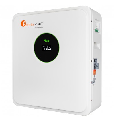 Аккумуляторная батарея FelicityESS LiFePO4 LPBF24200-A 24v 200Ah