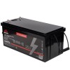 Аккумулятор Vitals ALFP-24100abd - изображение 1