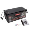 Аккумулятор Vitals ALFP-24100abd - изображение 5