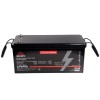 Аккумулятор Vitals AAGM-12100e - изображение 8