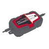 Зарядное устройство Vitals Master DS 6.0 - изображение 1