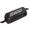 Зарядное устройство Vitals Master DS 6.0 - изображение 1