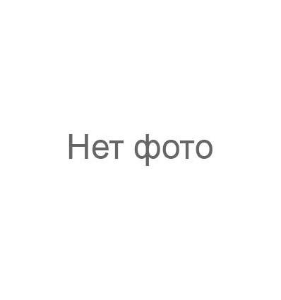 Шланг напорный (пожарный рукав) 100 мм